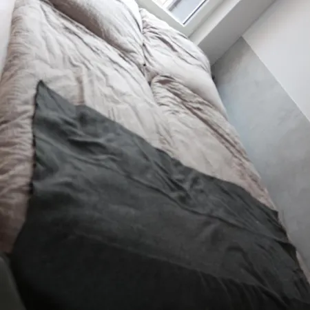게스트하우스 Elbquartier Altesland 3*